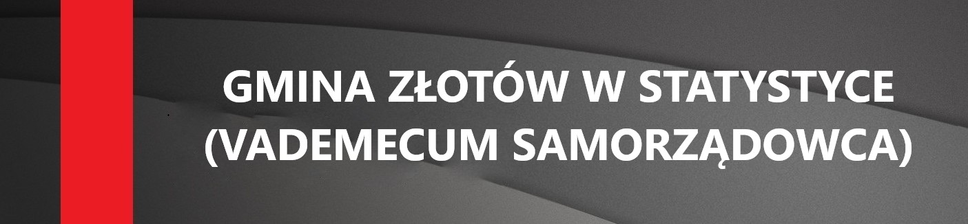 Vademecum Samorządowca